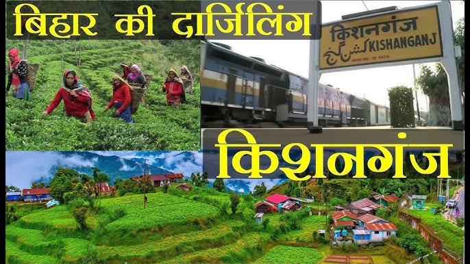 ठाकुरगंज बीडीओ ने कहा: मतदान केंद्रों पर सभी आवश्यक सुविधाएं हों उपलब्ध