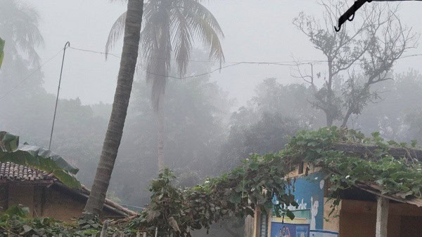 बिहार में भीषण ठंड और घने कोहरे का कहर, जनजीवन अस्त-व्यस्त, स्कूलों और ट्रेनों पर असर